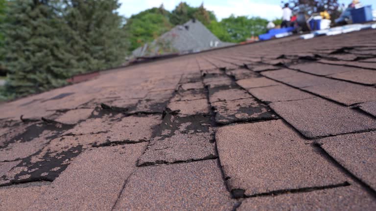 Sheet Metal Roofing in Allison, IA